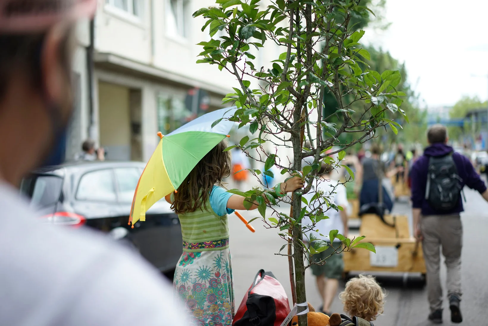 Wanderbaum Stuttgart Wanderbaum Stuttgart