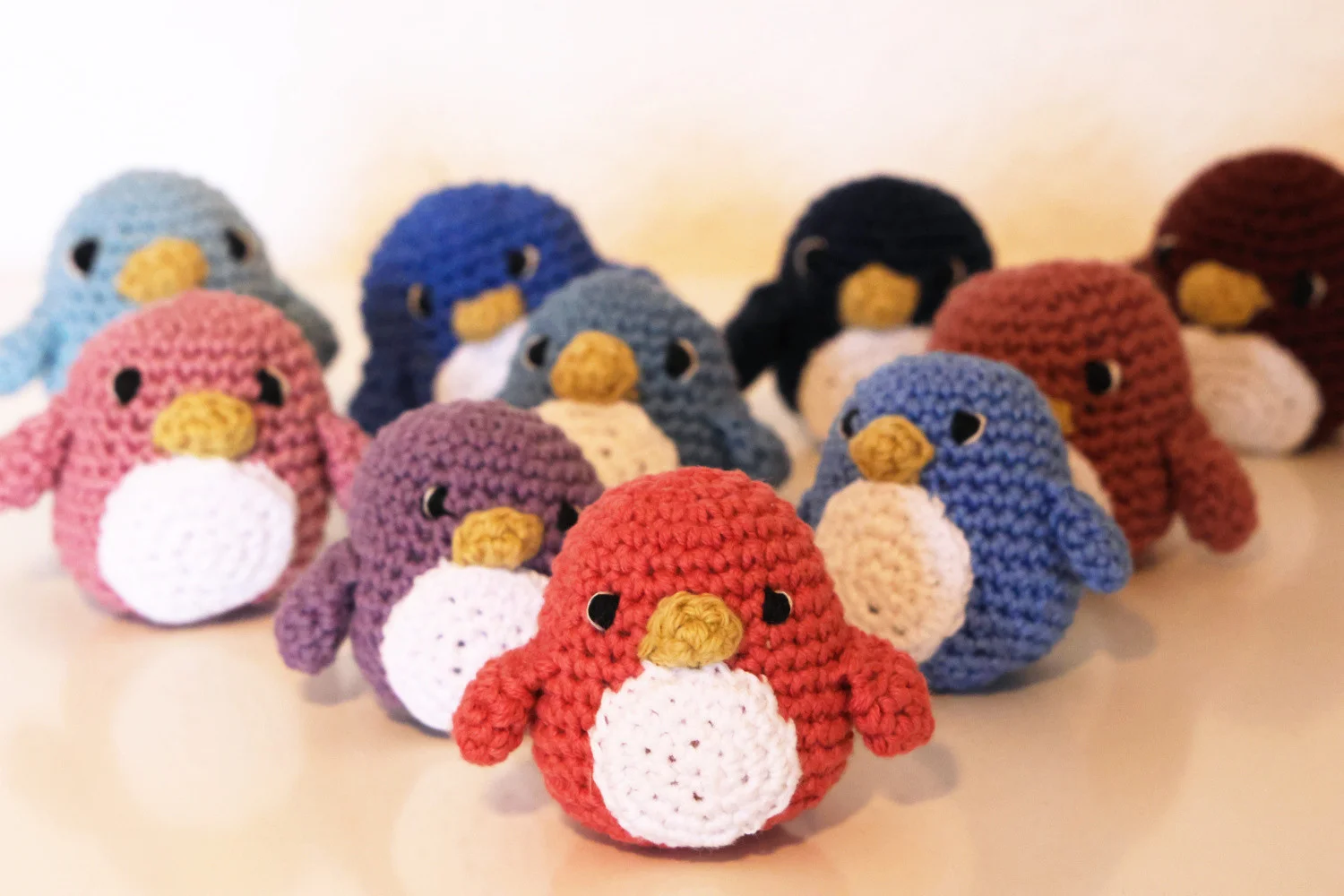 Die coolsten Vögel fliegen nicht