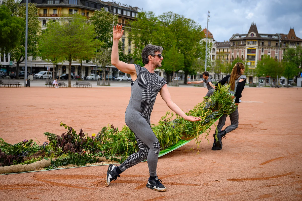 Performance Halo de Fraicheur Foofwa d'Imobilité