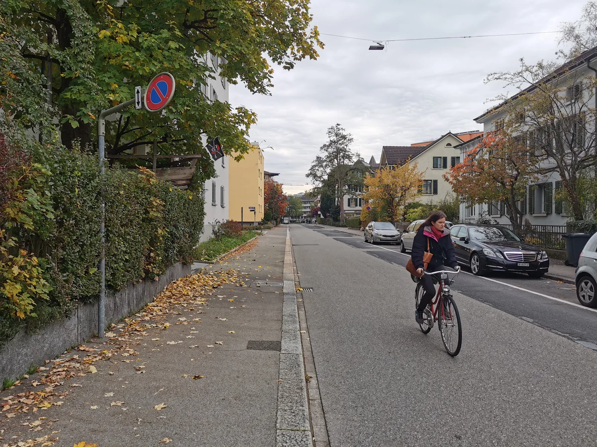 Stadtklima-Initiativen Winterthur. Die Feldstrasse ohne Initiativen