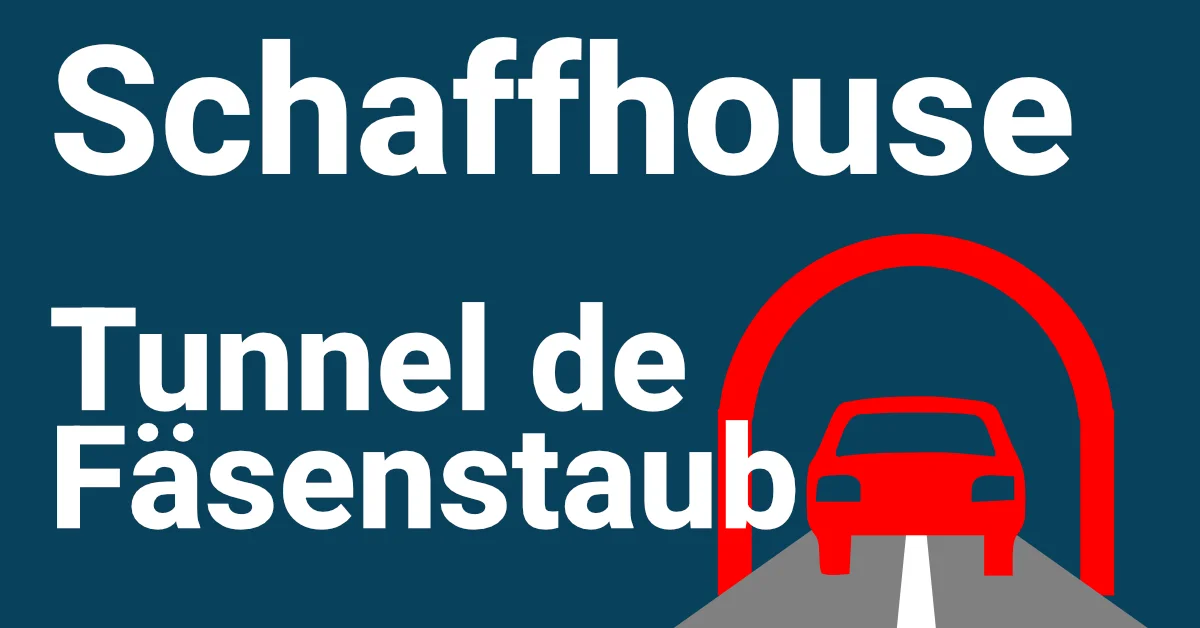Projet Schaffhouse Fasenstaub