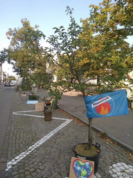 Temporäre Bepflanzung statt Parkplatz mit Christian von Pro Natura am PARK(ing) Day in Burgdorf