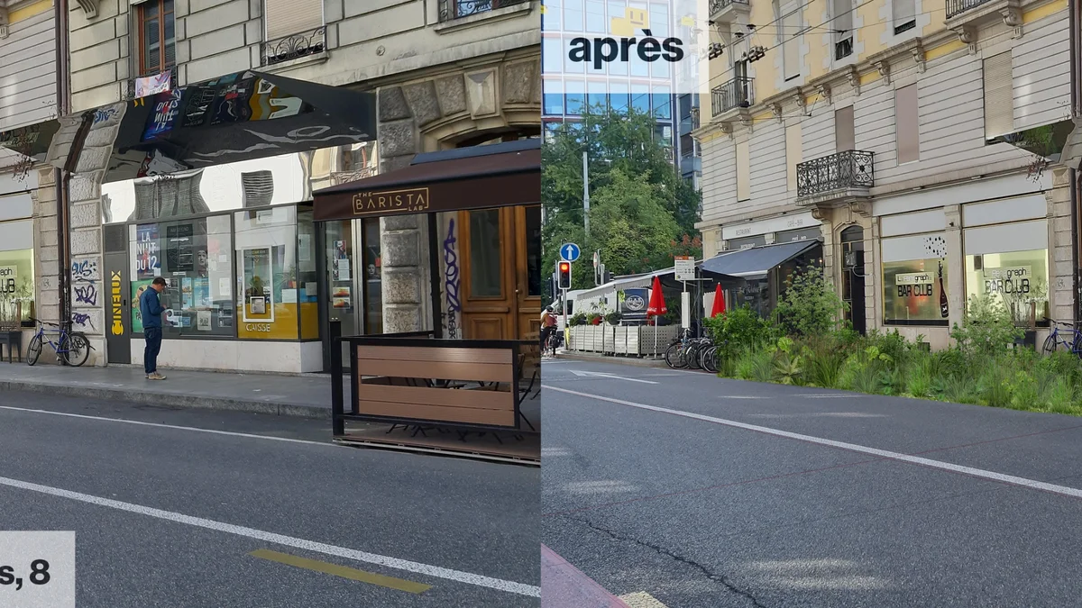 Végétalisation Express Jonction