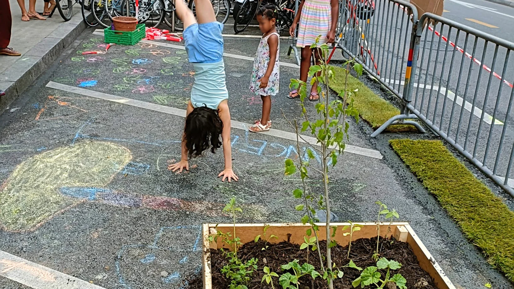Jardin participatif aux Pâquis