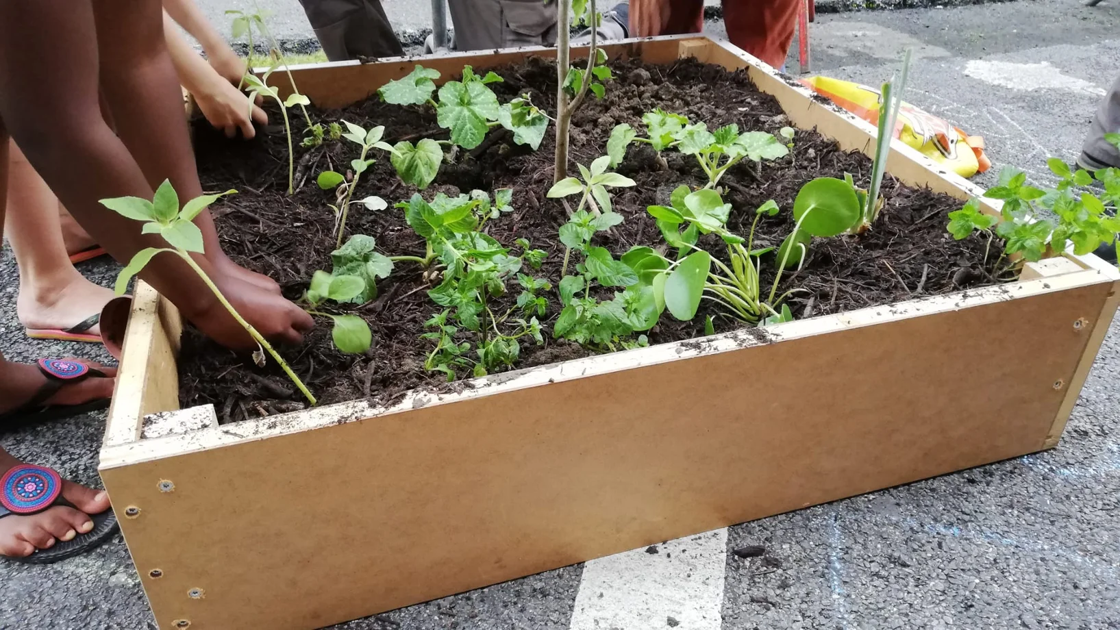 Jardin Participatif
